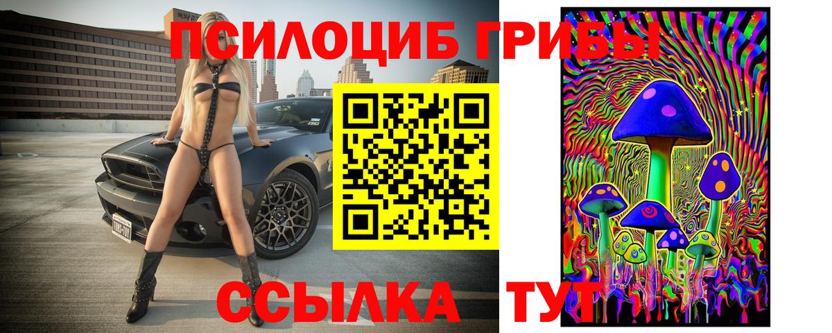Галлюциногенные грибы ЛСД Тамбов