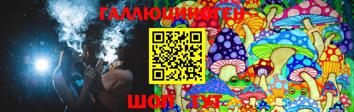 Галлюциногенные грибы Psilocybe  Вход с VPN  где найти   Тамбов  Псилоцибиновые грибы Magic Shrooms 